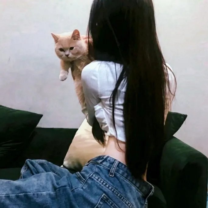 铁马车王：驶向自由
